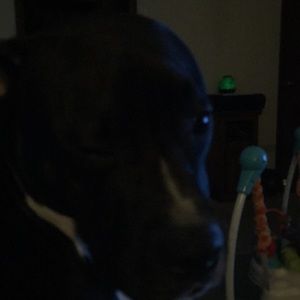 Meet your Posher, Ryne